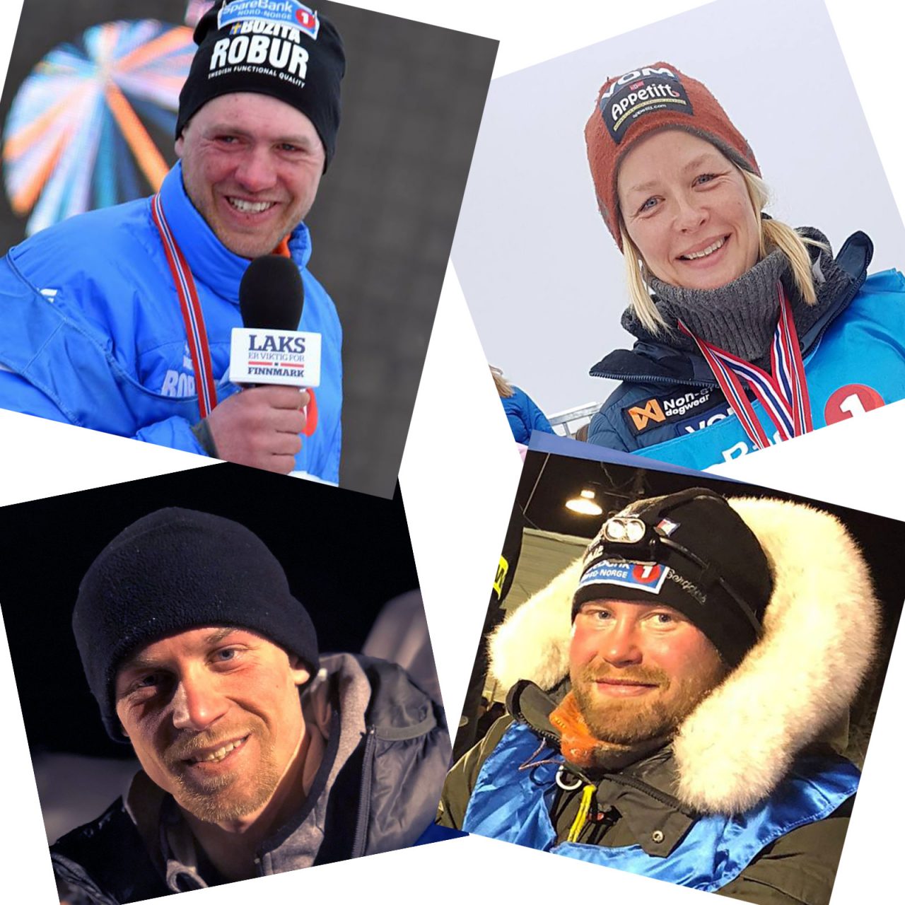 Finnmarksløpet 2019. Hvem vinner Saltdalshytta. Øverst fra venstre, Petter Karlsson, Birgitte Næss, Dallas Seavey og Kristian Walseth.